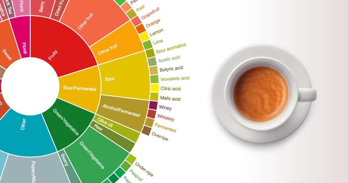 Coffee acidity and bitterness perception