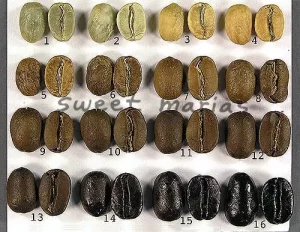 Coffee myths comparison illustration