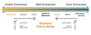 Coffee extraction timeline showing early, middle, and late extraction stages